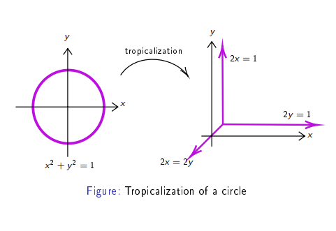 Tropicalization